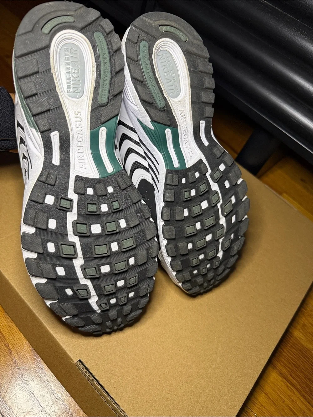 Nike Pegasus Womens